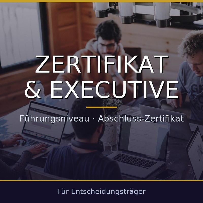 Executive Programm: Verwaltungsdigitalisierung führen